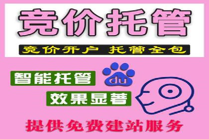 某电商平台的SEM代运营策略解析